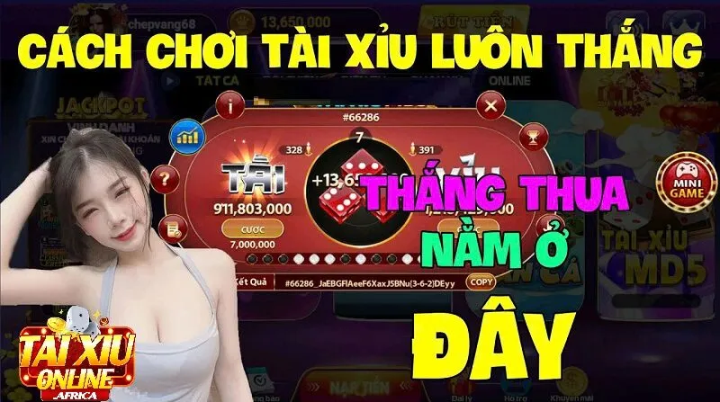 Mẹo Vàng Khi Học Chơi Tài Xỉu