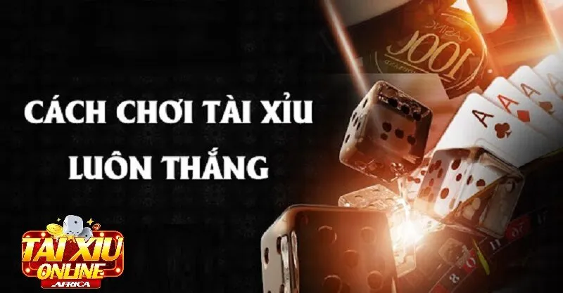 Top Mẹo Chơi Tài Xỉu Hiệu Quả Nhất